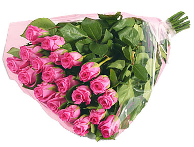 20 Τεμάχια Ολόφρεσκα Ροζ Τριαντάφυλλα σε Ανθοδέσμη