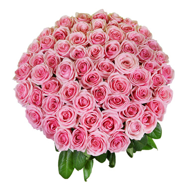 Τριαντάφυλλα και Τροπικά Φυλλώματα - BΟU 01822