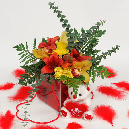 Orchis, Roses, Bear-toys & tropical leaves &eacute;n the box - VAL 11030
