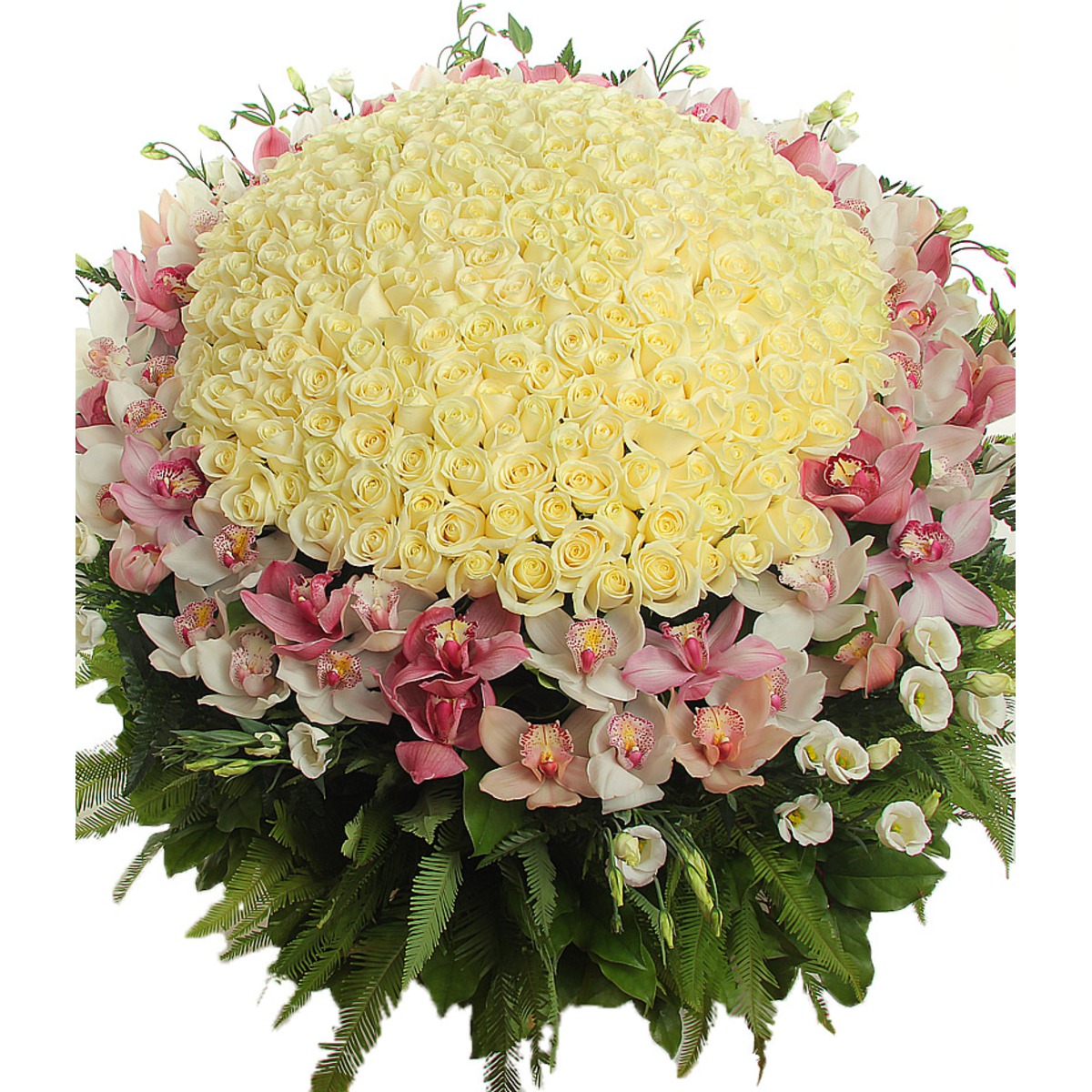 200 λευκά Τριαντάφυλλα και Ορχιδέες - ENG 13006