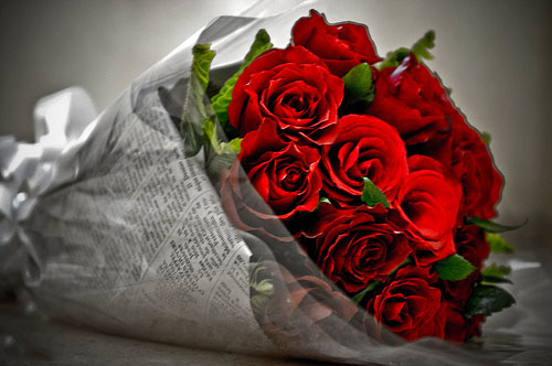 12 Red Roses In A Bouquet