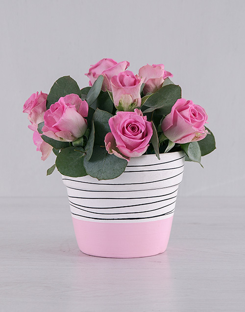 Flowerpot with Pink Roses in holder