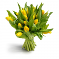 Offer 12 tulips Only 20 euros  ΠΡΟ - 03