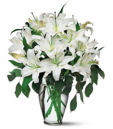 bouquet of white lilies ιn a vase  - ΜΠΟΥ 072245