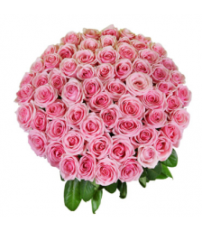 Τριαντάφυλλα και Τροπικά Φυλλώματα - BΟU 01822