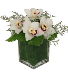 Roses and tropical Leaves - GLASS 18006