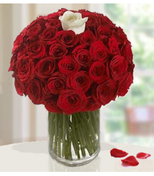 Μπουκέτο με 60 Κόκκινα Τριαντάφυλλα και Ένα Λευκό σε Βάζο  - ΜΠΟΥ 072242