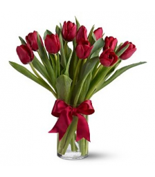Bright red tulips in a vase -  ΒΑΖ 072250