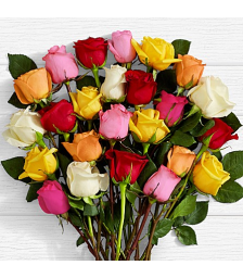 20 Mixed Roses SALE