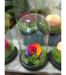 Forever Rose | Τριαντάφυλλα σε γυάλα