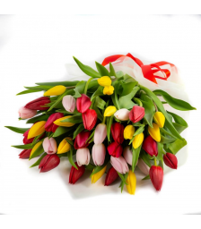 25 Mix Tulips