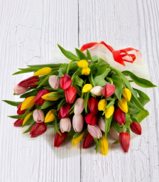15 Τουλίπες Μίξ