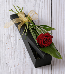 Τριαντάφυλλο σε κουτί