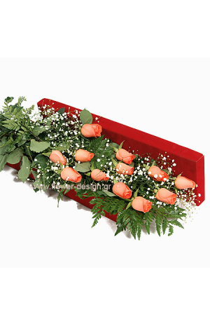 Τριαντάφυλλα, Γυψοφίλη και Φτέρες - ROSE 42011