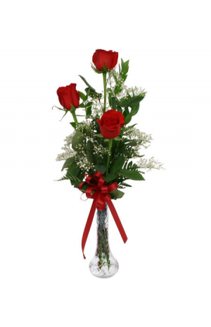 Roses in a vase  - ROSE 42006