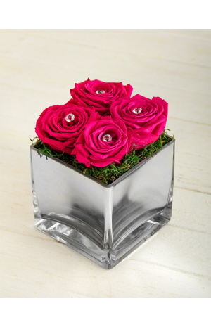 Roses in Glass holder