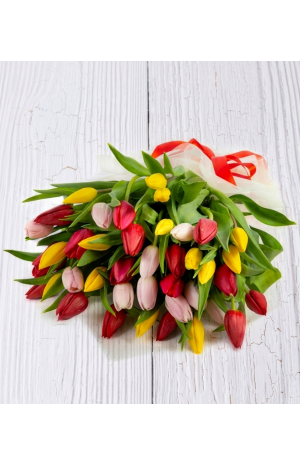 15 Τουλίπες Μίξ