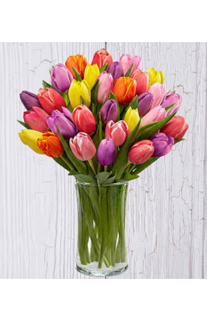 15 ΜΙΞ Τουλίπες με βάζο