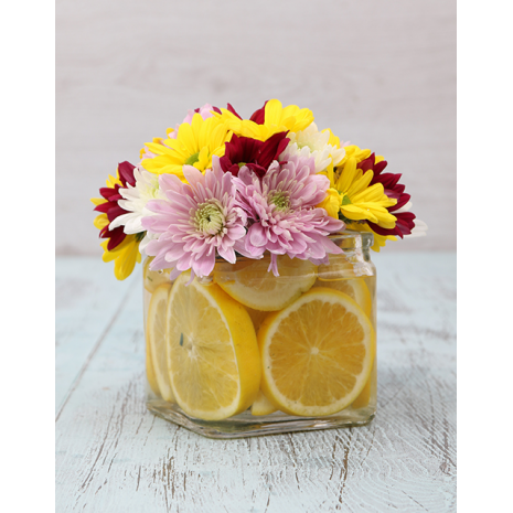 Mix Chrysanthemum with Lemon slices in Glass