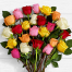 20 Mixed Roses SALE